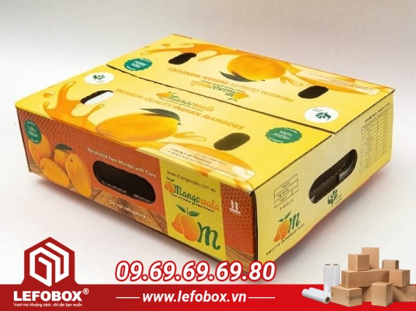 Thùng carton đựng xoài